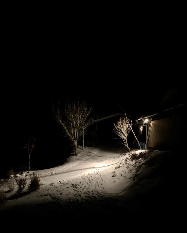 ▫️💡▪️
月と外灯と雪が夜を照らした闇景
と翌日以降⛄️

毎朝、車は帰ってきたデロリアンみたいにキンキンカチコチで山の湧き水もゴージャスに止まりました🧊

延々の山道の、滑ったらダメ絶対ダメゾーン⚠️の中からさらに厳選するカーブ
に、塩カリをまきまき🚗

安全作業と雪遊びはセットです！
なんか今年でようやく雪道対策に余裕が⛰️
フフフン

雪は白くて青くて銀色だ！

もう冬の陶芸は､､､と今年も思いながら味噌を仕込んで、あとはジャム！はっさくジャム！！

一度始めた季節のお仕事がやめられないです

#2月
