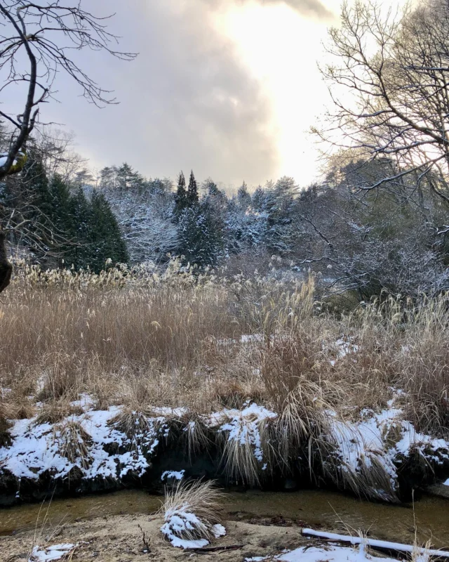❄︎︎🫠❄︎
二月終わりの雪景
目には白くカメラには灰色
なんかうっすら不気味でした

三月にかけての惑星のパレード💫が見たくて
宵空をじっとり眺めた数日
たぶんアレ👁️！！たぶん見た
そうでなくてもめっぽう宇宙を感じる星空でした
またたく光､､､いや本当にうつくしい

星空みること、天気が難関なんですね
雨やまないし、雲どかないし
山在だから星はいつでも､､､とか思ってましたが限りあるイマ空ですよ

やすらぎの夜とウラハラに追い込みの日中
荒れた机と春の皿🐇
三月と四月は企画展に参加します！

季節の変わり目、どうぞお大事に！お元気に！！

#三月