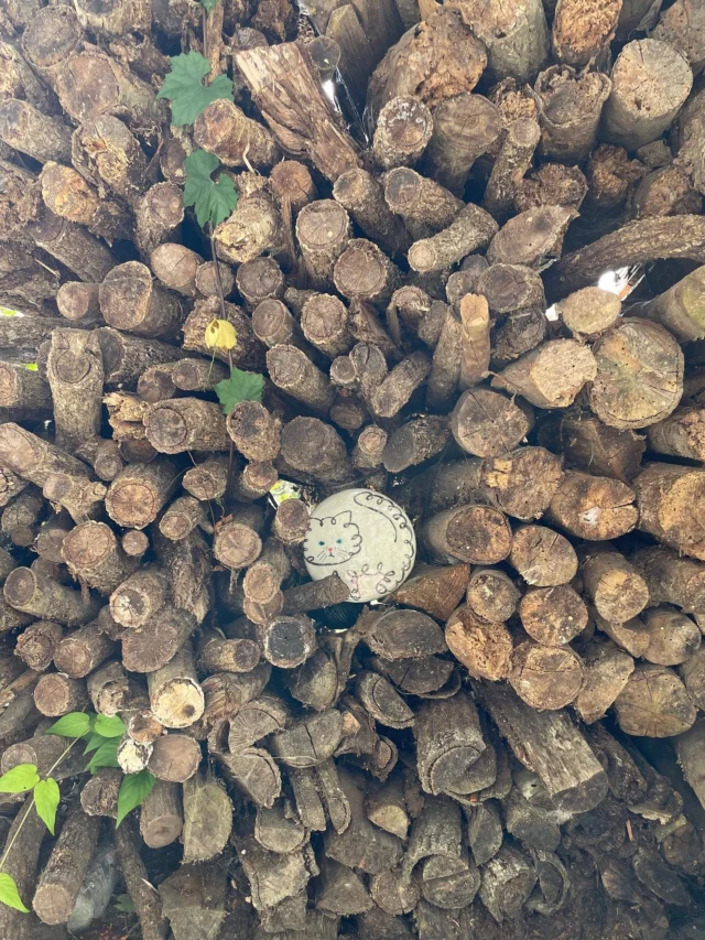 🪵
まる猫
などなどなど

揃いモノに挑戦だぞ〜と思って始めたのに、また全部ちがう絵を描いてしまいました🍂

地元の友達や親戚・知人に見てほしすぎて
途中から見るに値するものを〜〜とか言い出したあたりからイロイロ魂が😞
あと時間に迫られて、縛りを忘れてた

なんせ毎回一個モノだから
そう！自分の人気モノが全くわからないという
驚きと当然の帰結

ということで出店へと至ります
いろいろ知りたい📝

#ceramicillustration