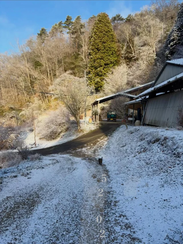 ⇨2026
すぐ溶けたアワ雪❄️

ゆく年くる年の祝祭も過ぎて淡々と日常
お怪我などありませんか？
わたしも年末ど派手に転びました
足元に気をつけて参りましょう🐴💨

昨年と今年これからの応援に
感謝申し上げます！

丁寧に丁寧に丁寧に描く
ます
